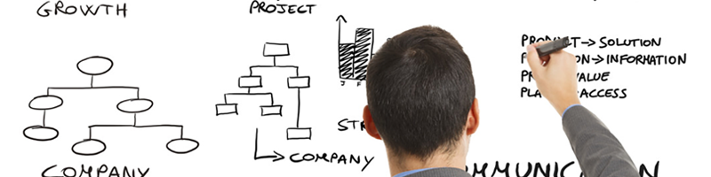 Program Management and Planning