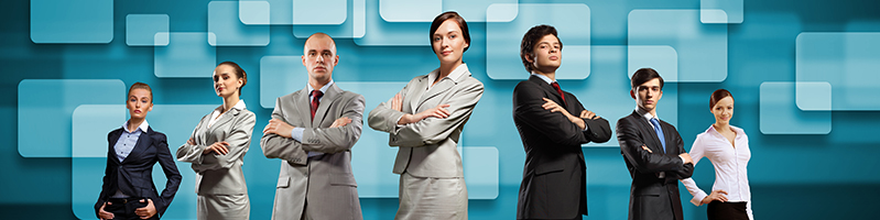 Enterprise Governance business team